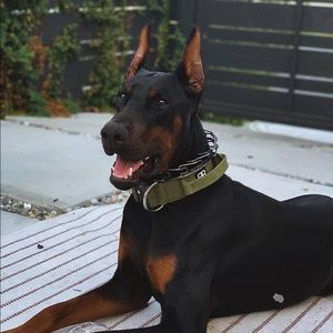 Meet your Posher, Ricardo